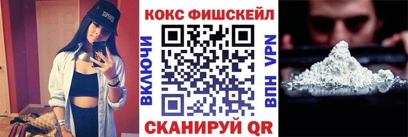 цена   Губкинский  OMG вход  COCAIN VHQ 