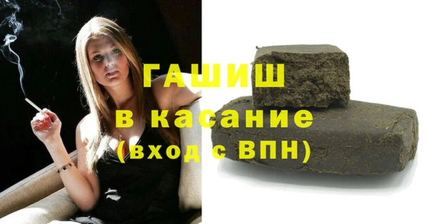 дживик Бородино