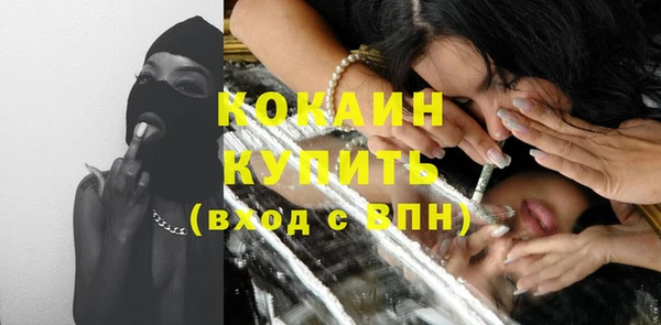 дживик Бородино