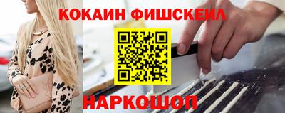 амф Гусев