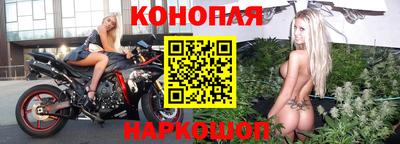 амф Гусев
