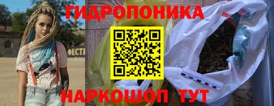 амф Гусев
