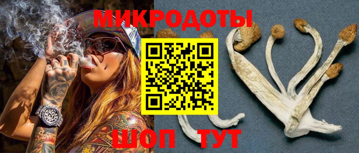 Губкинский  Галлюциногенные грибы MAGIC MUSHROOMS  Вход с VPN 